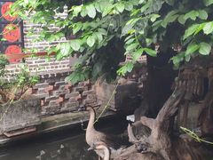 -优之名鹅城