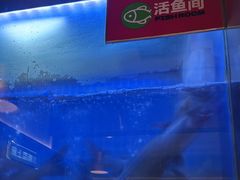 -老板恋上鱼(印象城店)