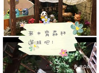 带着孩子来木育森林玩耍吧！