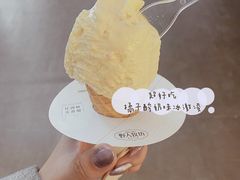 -野人先生现做冰淇淋(北京顺义祥云小镇店)