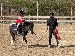 -北京群众马术培训基地