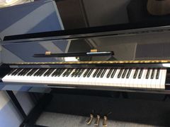 -梅纳·钢琴声乐架子鼓Mena Music(双井店)