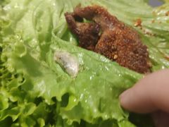 生菜-胡悦里韩式烤肉(莱阳总店)