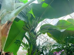-石家庄市植物园