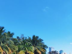 -万绿园