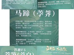 -荔湾湖公园