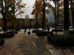 -百林公园-两江幸福广场