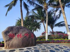 -万绿园