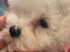 -服务大楼冷面(延大店)