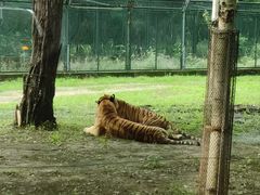 -秦皇岛野生动物园