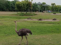 -宁波野生动物园