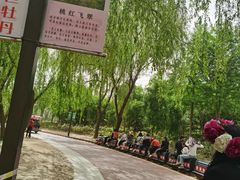 -曹州牡丹园