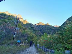 -云岫谷游猎自然风景区