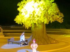 -鼎盛王朝康熙大典实景演出