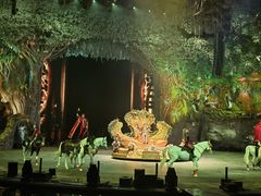 -广州长隆国际大马戏