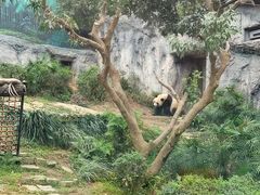 -石排湾郊野公园