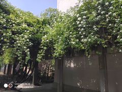 -四川大学(望江校区)