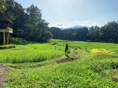 -四季酒店下午茶