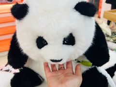 -熊猫邮局(少城店)