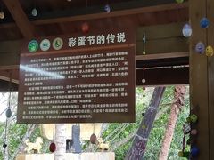 -西双版纳原始森林公园