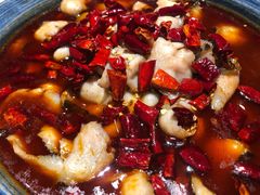 小吊辣烧鱼-小吊梨汤·北京菜·烤鸭(鸟巢店)