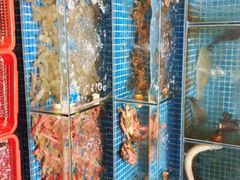 -瑶记海鲜餐厅(西涌店)