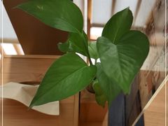 -村上一屋(望京店)