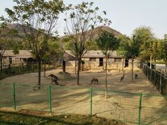 -石家庄市动物园