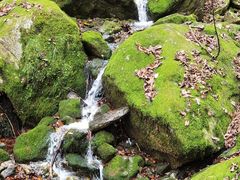 -西安祥峪森林公园