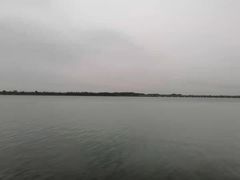 -丁香湖公园