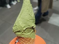 -野人先生现做冰淇淋(西安赛格店)