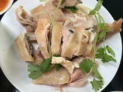 -文昌鸡饭店110号(中山路店)