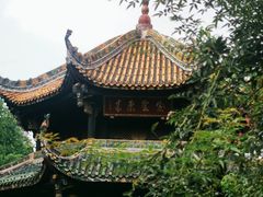 -青羊宫