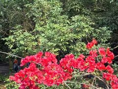 -海口火山口国家地质公园