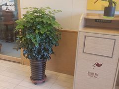 -德克士(深泽店)