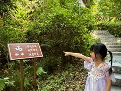 -燕晗山郊野公园