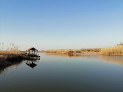 -宁波杭州湾国家湿地公园