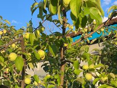 -庆岭迎宾园正宗活鱼馆