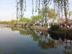 -无锡蠡湖国家湿地公园-蠡园
