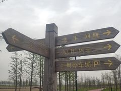 -春花秋色城市公园