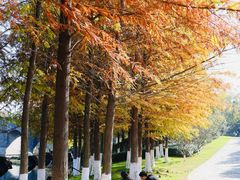 -茅山东方盐湖城景区