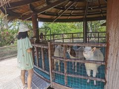 -珠海海泉湾神秘岛亲子乐园