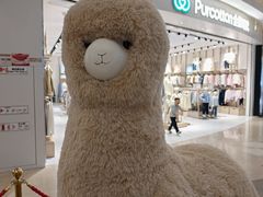 -首创奥特莱斯(北京店)