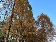 -良渚古城遗址公园