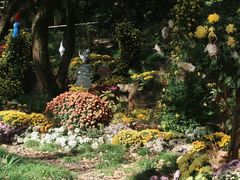 -上海共青森林公园