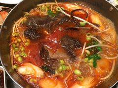 -豐柏轩食府