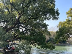 -西溪国家湿地公园