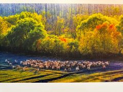 -上海虹桥当代艺术馆