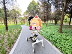 -桃苑公园