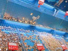 -必点海鲜·鲅鱼水饺(鞍山西道店)